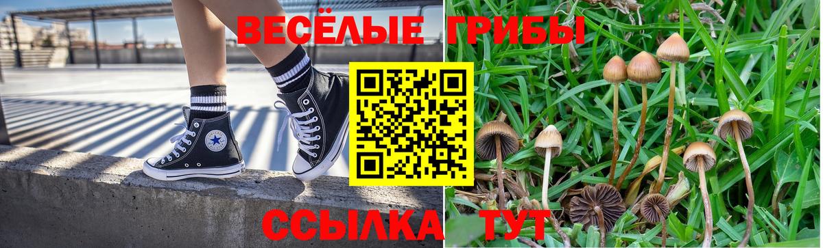 Псилоцибиновые грибы Magic Shrooms Ялта